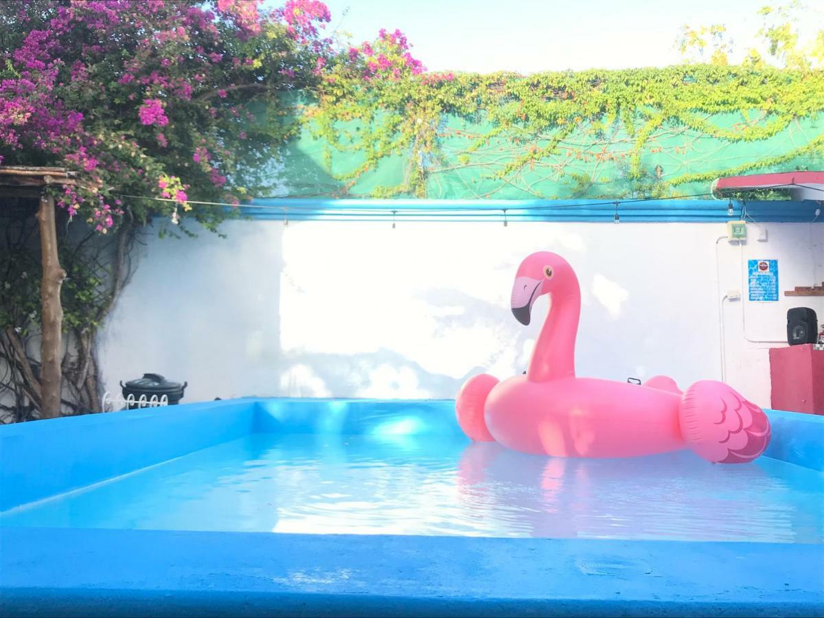 Hostel Quetzal Cancun Luaran gambar